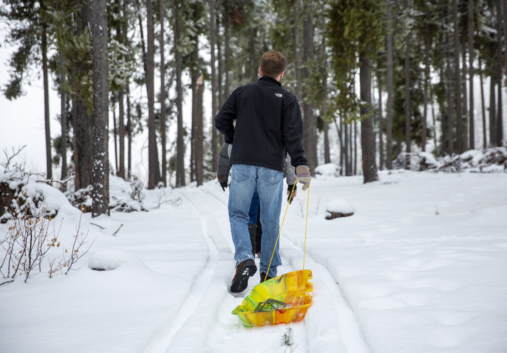 Picking the perfect tree